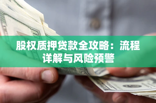 北京股权质押贷款全攻略：流程详解与风险预警