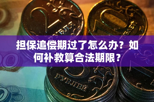 北京担保追偿期过了怎么办？如何补救算合法期限？