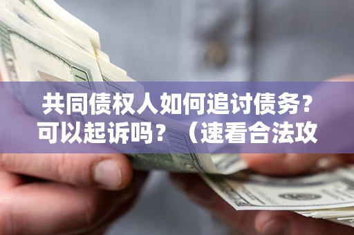 北京共同债权人如何追讨债务？可以起诉吗？（速看合法攻略）