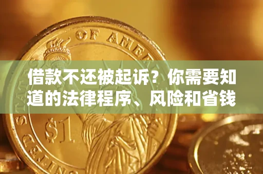 北京借款不还被起诉？你需要知道的法律程序、风险和省钱技巧
